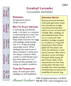 Renee's Garden Lavender Fernleaf -Garden Supplies Sales Store 5361 pb