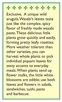 Renee's Garden Arugula Wasabi 3 Renee's Garden Arugula Wasabi - Image 3