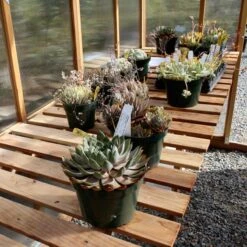 6' X 12' Greenhouse - Bench Kit (1 Bench)