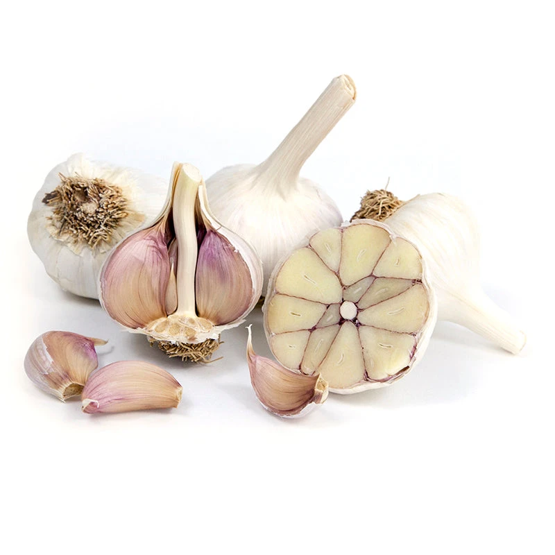 Organic Garlic, Spanish Roja (1/2 Lb) 1 Organic Garlic, Spanish Roja (1/2 Lb)
