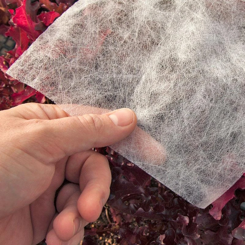 Agribon AG-15 Insect Barrier (19' X 2000') 1 Agribon AG-15 Insect Barrier (19' X 2000')