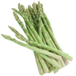 Asparagus Jersey Knight