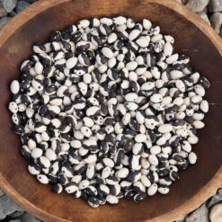 Orca Bush Bean Seeds (Organic) -Garden Supplies Sales Store calypso bean 92616 016 web