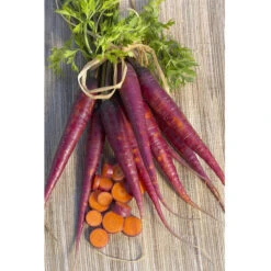 Cosmic Purple Carrot Seeds (Organic) -Garden Supplies Sales Store carrot cosmic purple 1