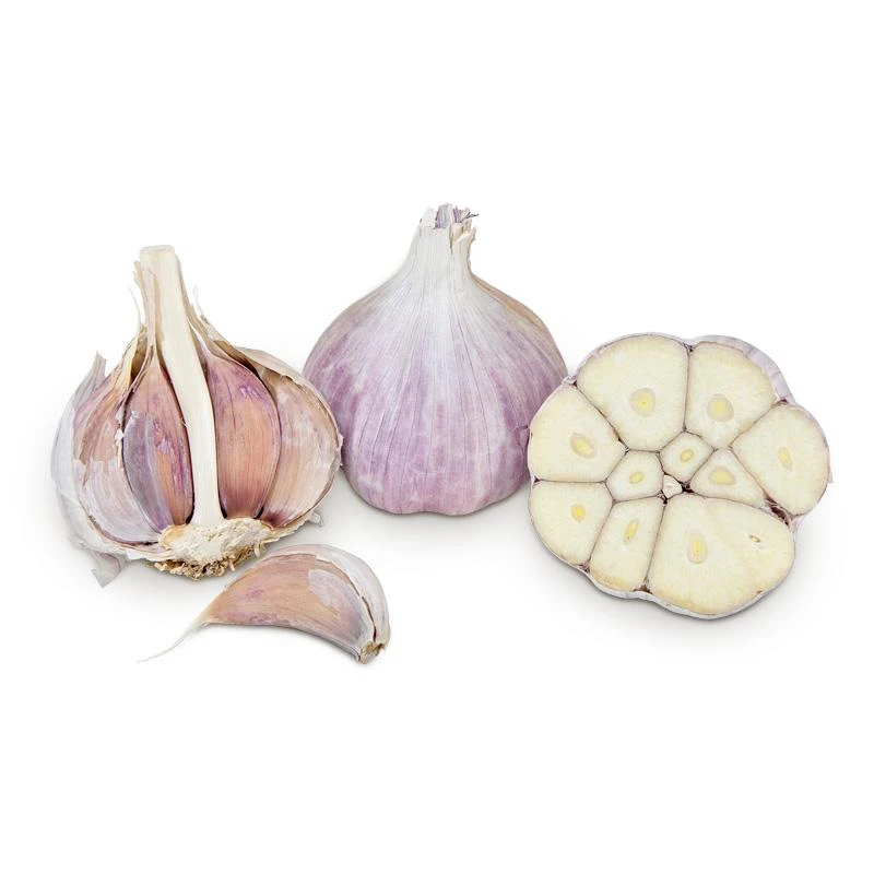 Conventionally Grown Garlic, Georgian Fire (lb) 1 Conventionally Grown Garlic, Georgian Fire (lb)
