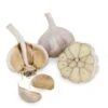 Conventionally Grown Garlic, Purple Italian (lb)