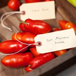 San Marzano Tomato Seeds (Organic) -Garden Supplies Sales Store expo 0300 3 2