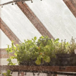 Fogger Mister -Garden Supplies Sales Store ire200 iu 2 1