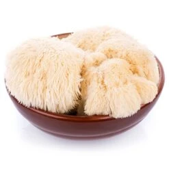 Lion's Mane Mushroom Kit