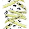Organic Bean, Bush Orca (1/2 Lb)