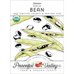 Orca Bush Bean Seeds (Organic)