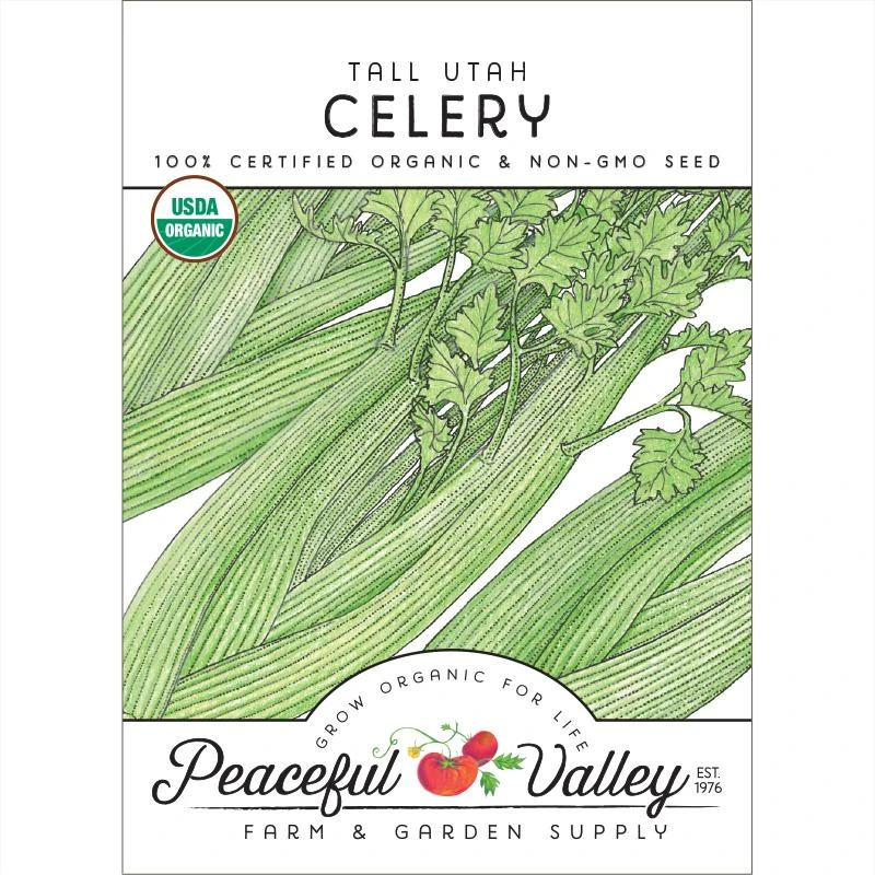 Tall Utah Celery Seeds (Organic) 1 Tall Utah Celery Seeds (Organic)