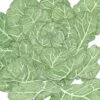 Organic Collard Greens, Champion (1 Oz)