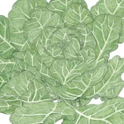 Organic Collard Greens, Champion (1 Oz)