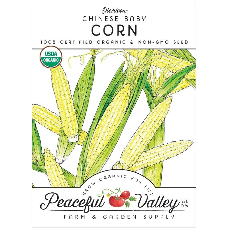 Chinese Baby Corn Seeds (Organic) 1 Chinese Baby Corn Seeds (Organic)