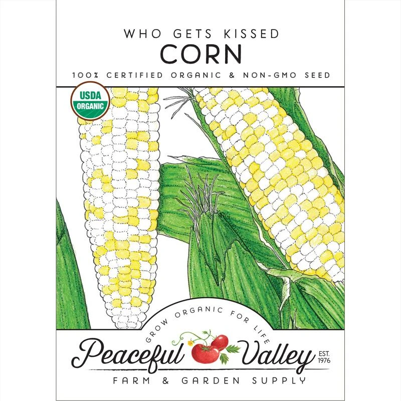 Who Gets Kissed Corn Seeds (Organic) 1 Who Gets Kissed Corn Seeds (Organic)
