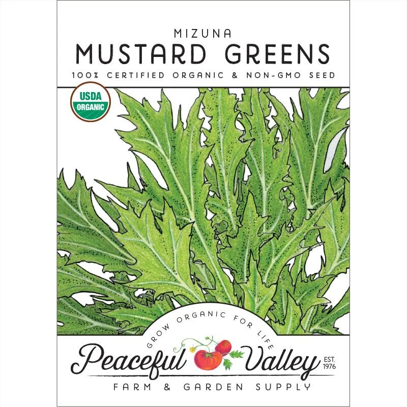 Mustard Mizuna Greens Seeds (Organic) 1 Mustard Mizuna Greens Seeds (Organic)