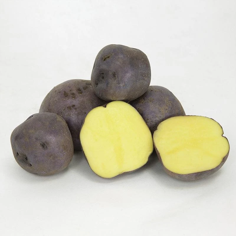 Huckleberry Gold Potato (Organic) 1 Huckleberry Gold Potato (Organic)