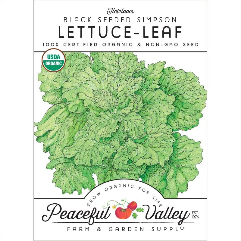 Black Seeded Simpson Lettuce Seeds (Organic) 1 Black Seeded Simpson Lettuce Seeds (Organic)