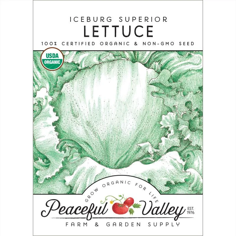 Iceberg Superior Lettuce Seeds (Organic) 1 Iceberg Superior Lettuce Seeds (Organic)