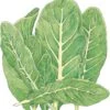 Organic Lettuce, Little Gem (1/4 Lb)