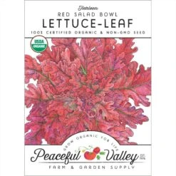 Red Salad Bowl Lettuce Seeds (Organic)