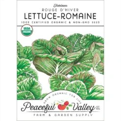 Rouge D'Hiver Lettuce Seeds (Organic)