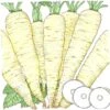 Organic Parsnip, Turga (1 Oz)