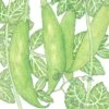 Organic Peas, Sugar Daddy (1/2 Lb )