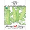 Sugar Daddy Pea Seeds (Organic)