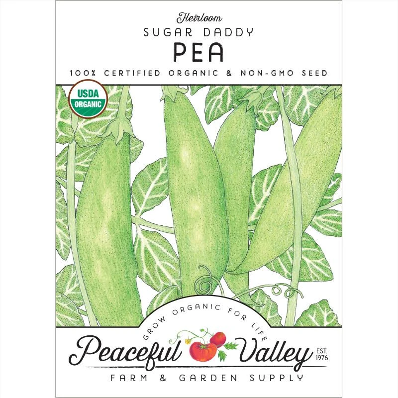 Sugar Daddy Pea Seeds (Organic) 1 Sugar Daddy Pea Seeds (Organic)