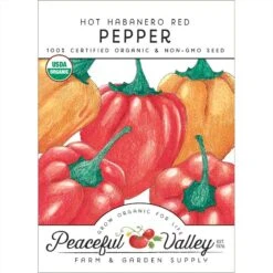 Hot Habanero Pepper Seeds (Organic)