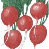 Organic Radish, Cherry Belle (1/4 Lb)
