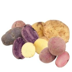 Rainbow Mix Potato (Organic)