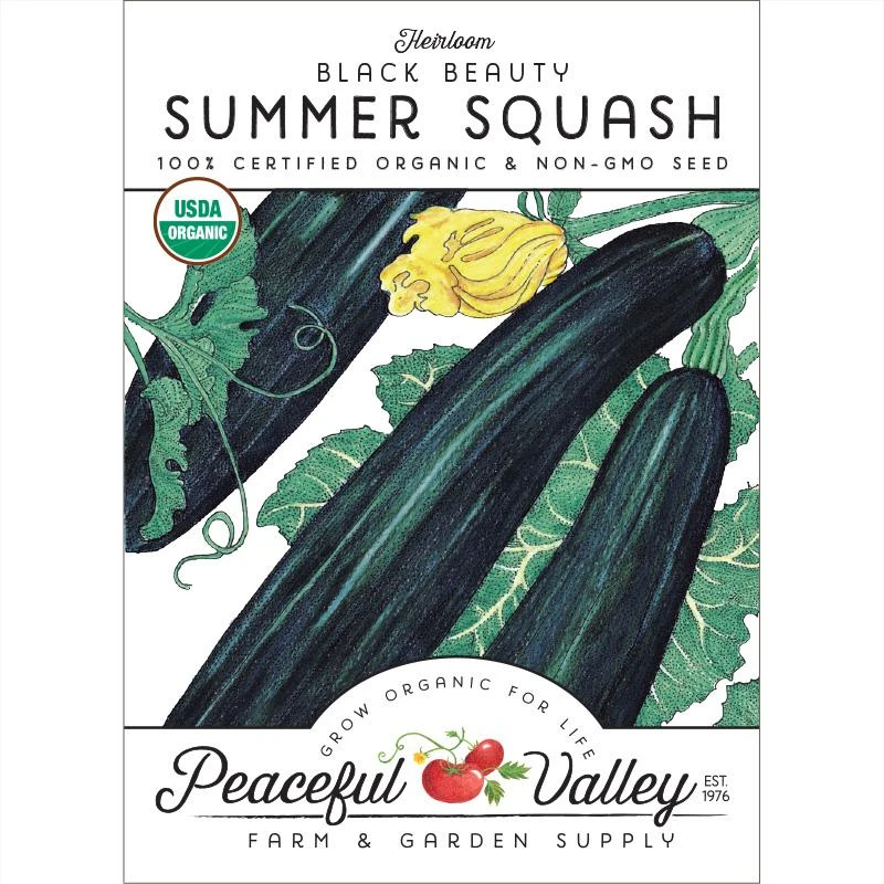 Black Beauty Summer Squash Seeds (Organic) 1 Black Beauty Summer Squash Seeds (Organic)