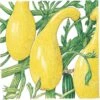 Organic Squash, Summer Early Crookneck (1/4 Lb)