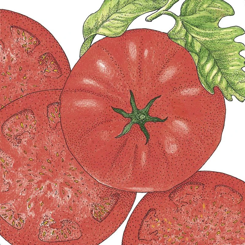 Organic Tomato, Beefsteak (1 Oz) 1 Organic Tomato, Beefsteak (1 Oz)