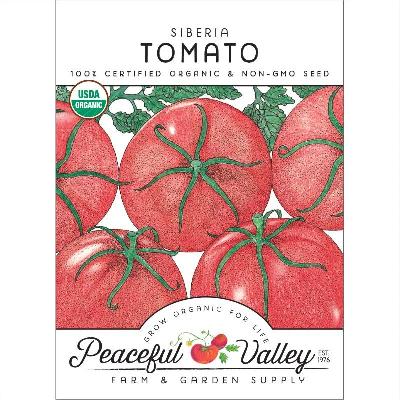 Siberia Tomato Seeds (Organic) 1 Siberia Tomato Seeds (Organic)