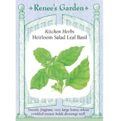 Renee's Garden Basil Salad Leaf (Heirloom)