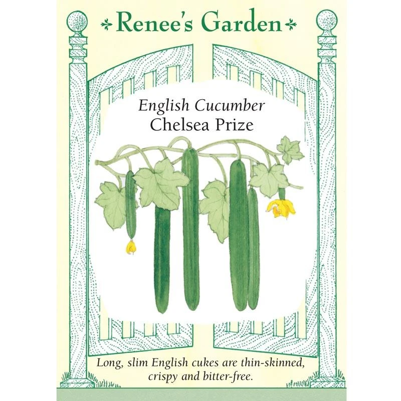 Renee's Garden Cucumber English Chelsea Prize 1 Renee's Garden Cucumber English Chelsea Prize