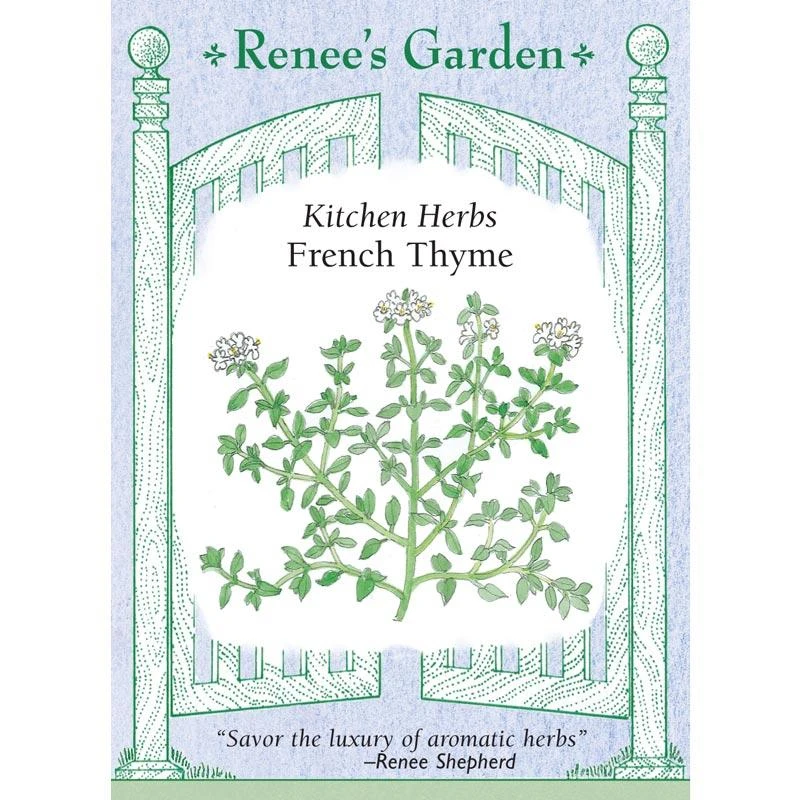 Renee's Garden French Thyme 1 Renee's Garden French Thyme