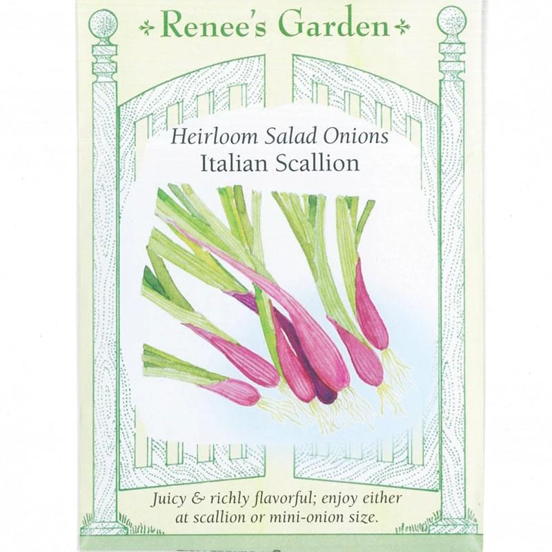 Renee's Garden Onion Scallions Italian (Heirloom) 1 Renee's Garden Onion Scallions Italian (Heirloom)