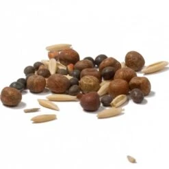 Peaceful Valley Legume Oat Mix #1 - Raw Seed (lb) -Garden Supplies Sales Store scm350 cat