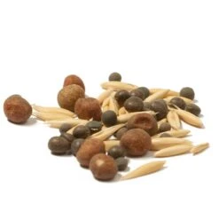 Peaceful Valley Legume Oat Mix #2 - Raw Seed (lb) -Garden Supplies Sales Store scm351 cat