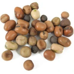 Peaceful Valley Nitro-Max Plow Down Mix Seed (lb) -Garden Supplies Sales Store scm360 1