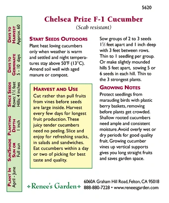 Renee's Garden Cucumber English Chelsea Prize 2 Renee's Garden Cucumber English Chelsea Prize - Image 2