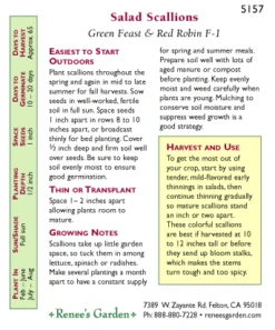 Renee's Garden Onion Scallions Delicious Duo -Garden Supplies Sales Store snv4112 pb