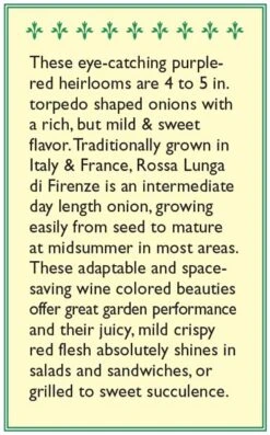 Renee's Garden Onion Rossa Lunga Di Firenze (Heirloom) -Garden Supplies Sales Store snv4221 b