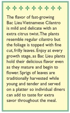 Renee's Garden Cilantro Vietnamese Bac Lieu (Heirloom) 5 Renee's Garden Cilantro Vietnamese Bac Lieu (Heirloom) -Garden Supplies Sales Store snv4225 b