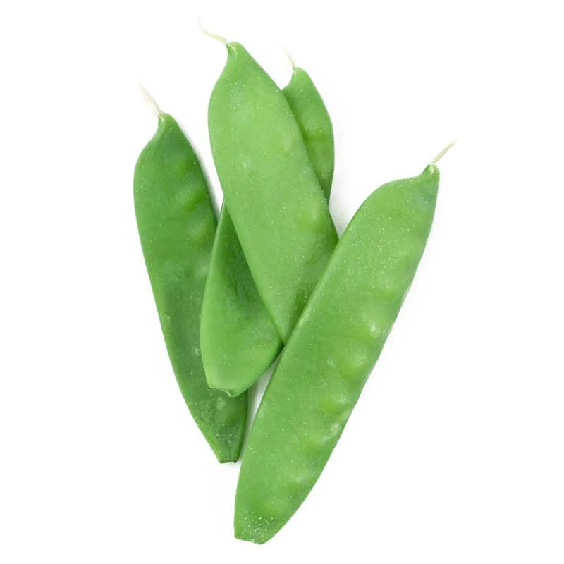 Oregon Sugar Pod Pea Seeds (Organic) 2 Oregon Sugar Pod Pea Seeds (Organic) - Image 2